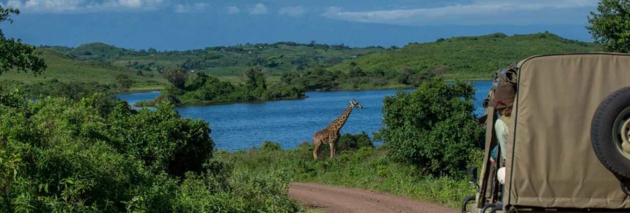 Arusha National Park safari dag Tanzania - Wie is de Mol 2026 locatie