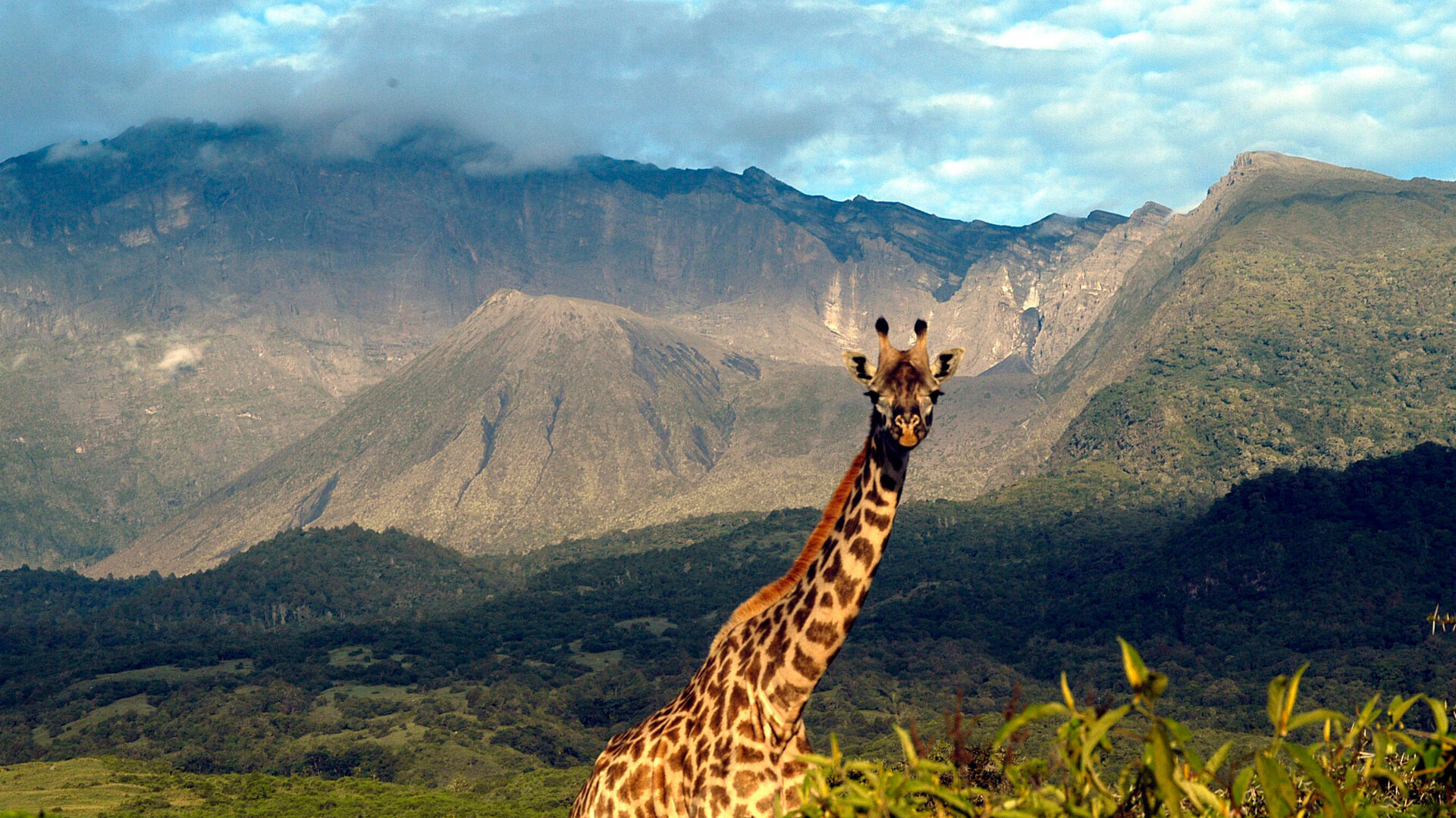 Arusha National Park Reizen Naar Het Arusha National Park Arusha National Park Reizen Naar Het Arusha National Park