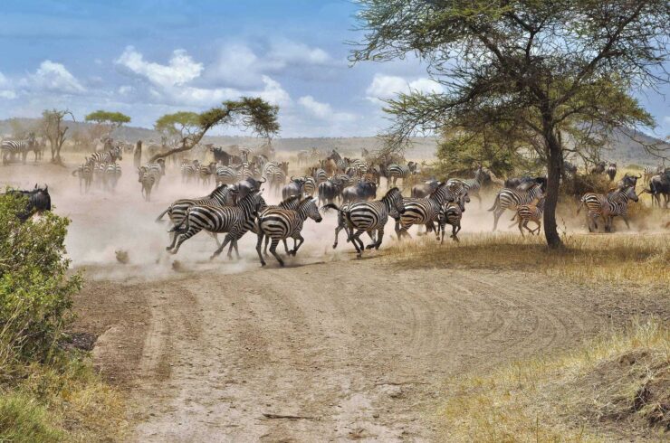 Vakantie Tanzania augustus