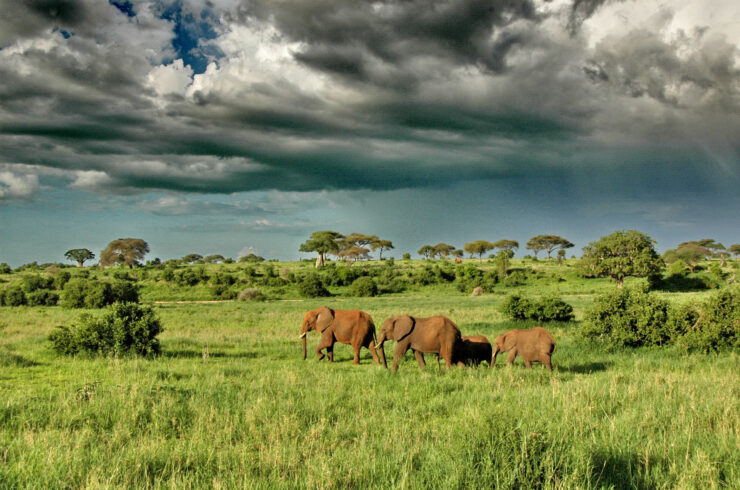 Tanzania vakantie april