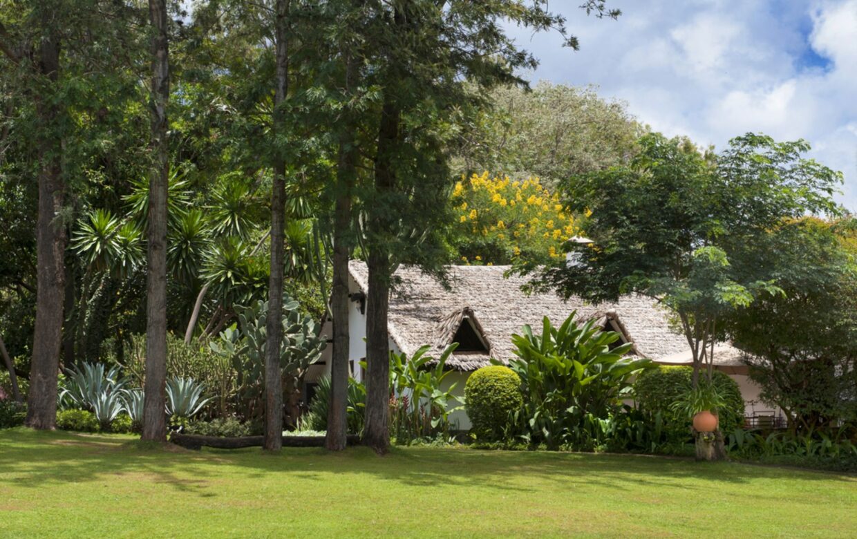 Winter safari reis Tanzania – 12 dagen
