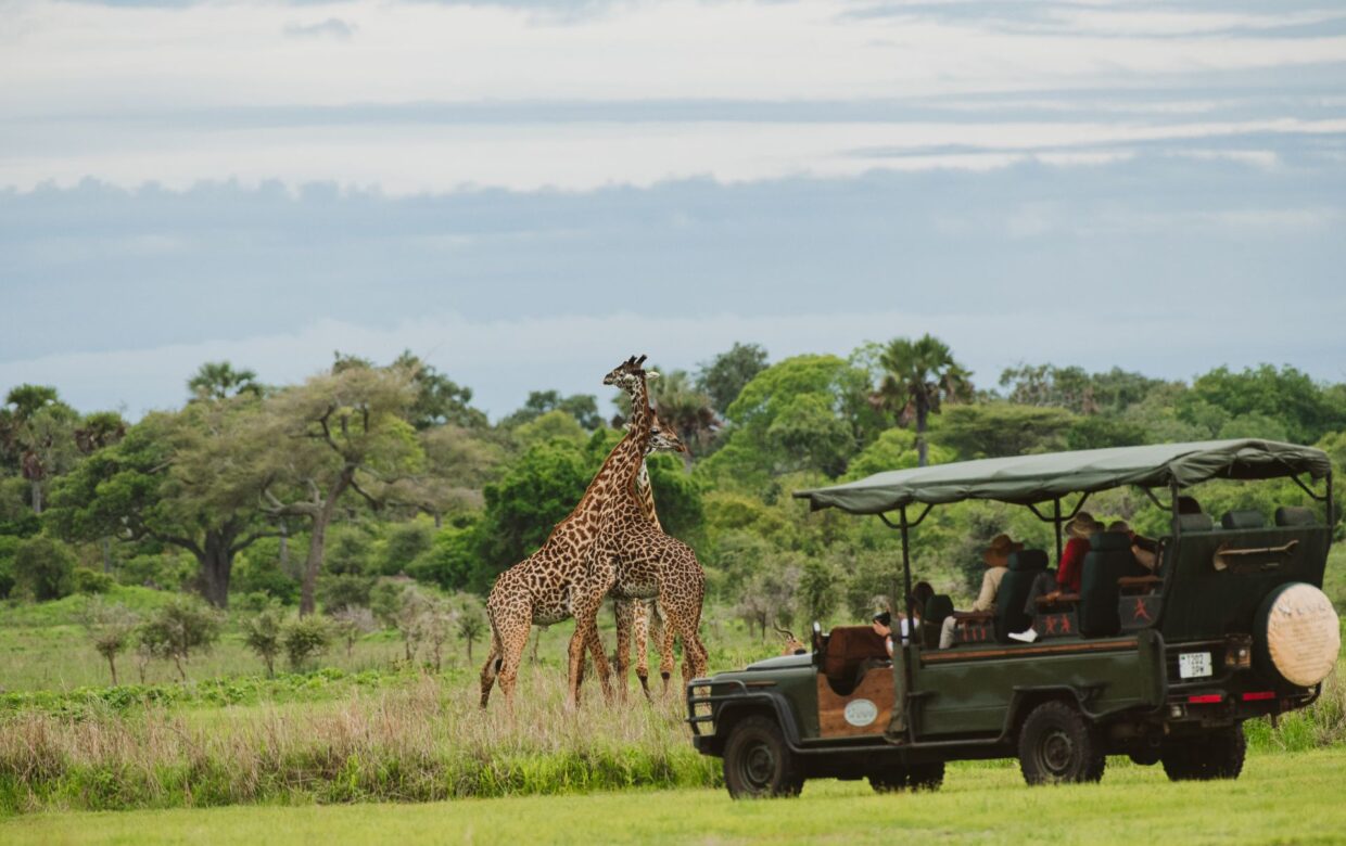 Katavi Wildlife Camp - Katavi National Park Tanzania