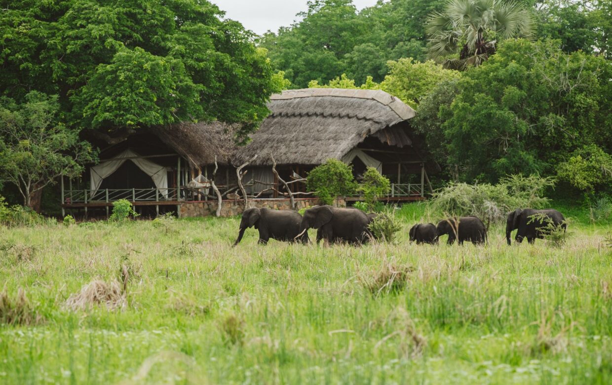 Katavi Wildlife Camp - Katavi National Park Tanzania