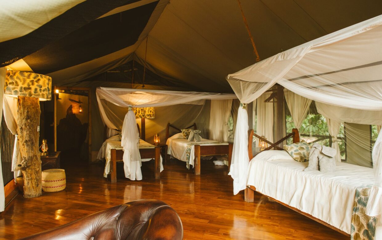 Rufiji River Camp - Ruaha National Park - Tanzania
