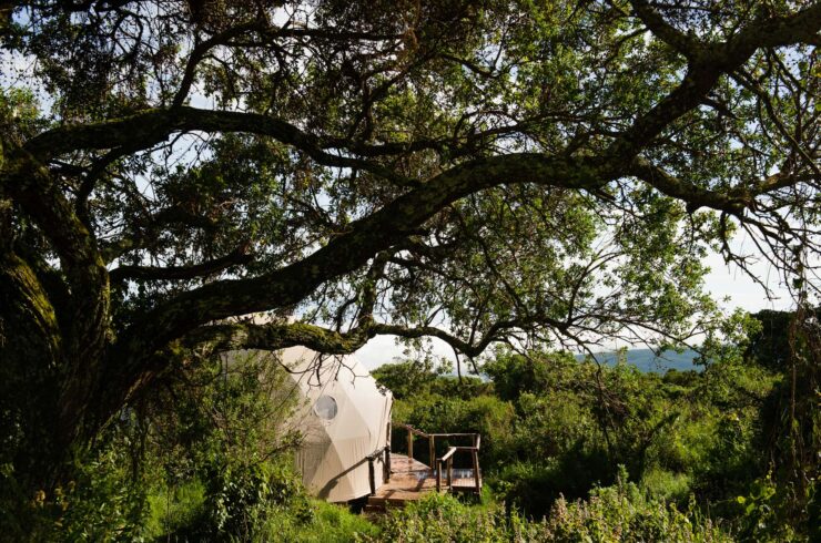 Explore Tanzania - Accommodatie Ngorongoro Krater - The Highlands