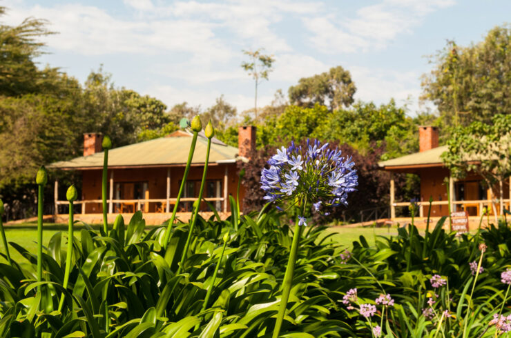 Ngorongor tloma lodge