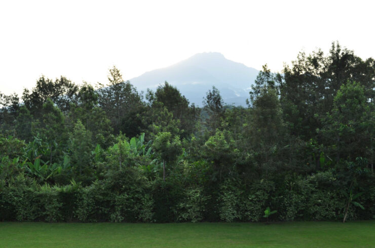 Explore Tanzania - Accommodatie Arusha National Park - Twigai Lodge