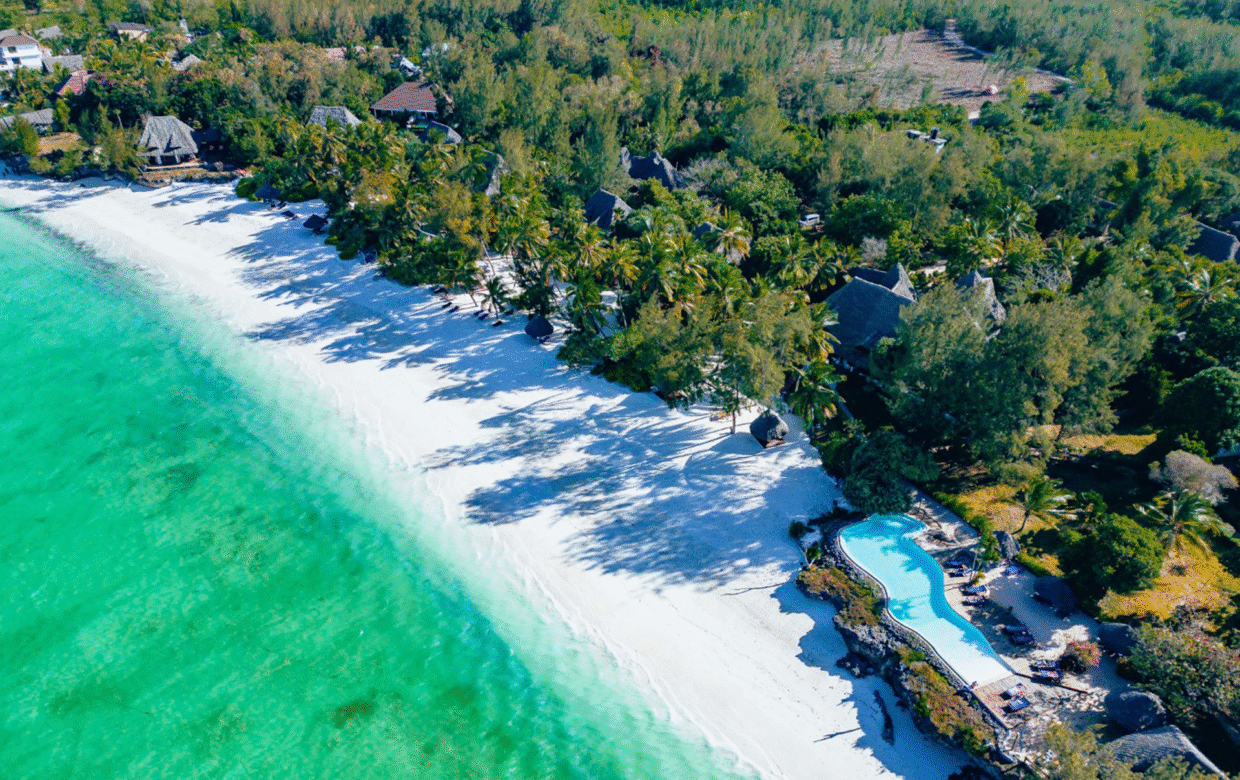 Winter safari reis Tanzania – 12 dagen