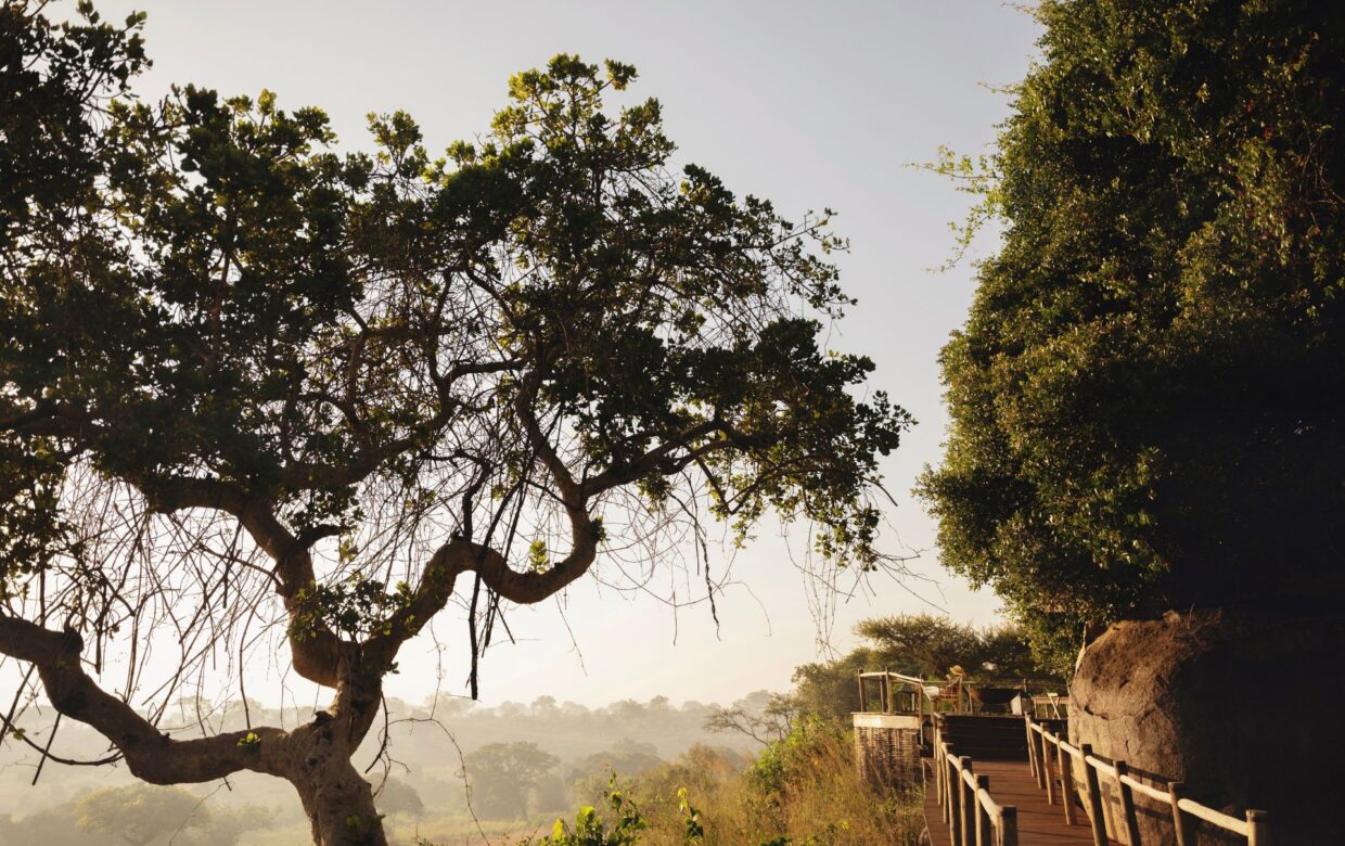 Nomad Lamai Serengeti - Explore Tanzania