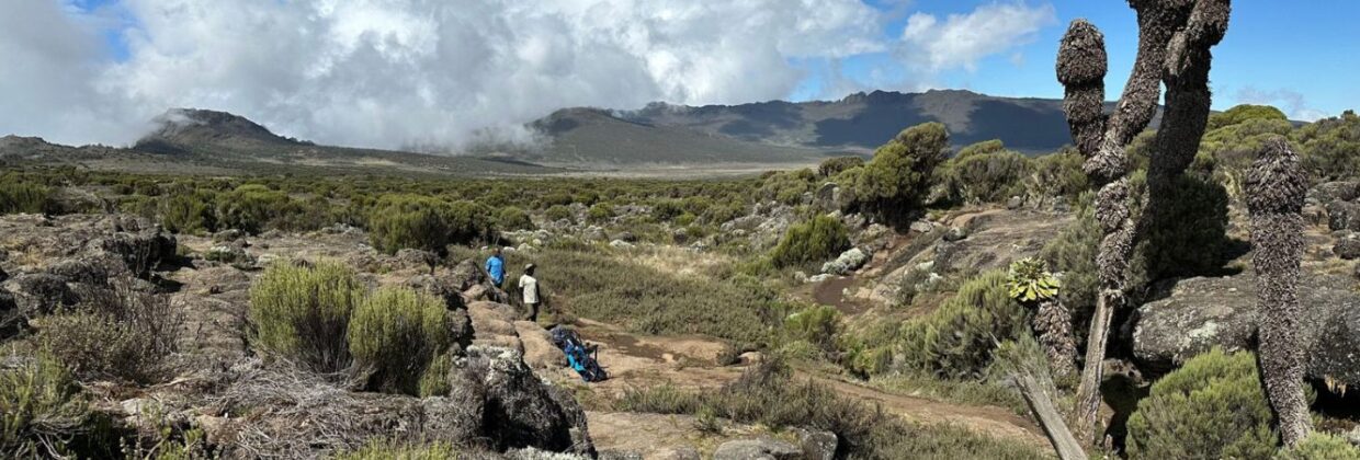 Hoogte en uitzicjt op de Kilimanjaro - Explore Tanzania