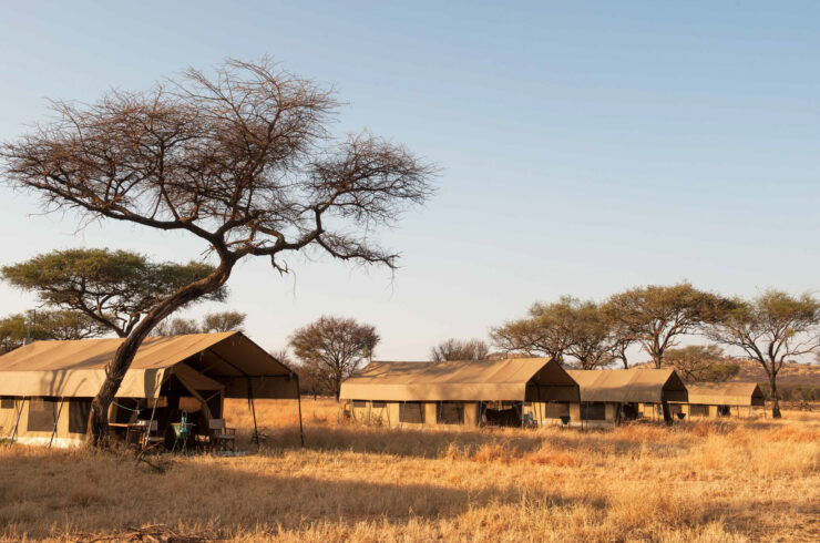 Explore Tanzania - Accommodatie Selous Game Reserve - SiwanduExplore Tanzania - Accommodatie Serengeti - Nomad Serengeti Safari Camp - Kati Kati Tented Camp