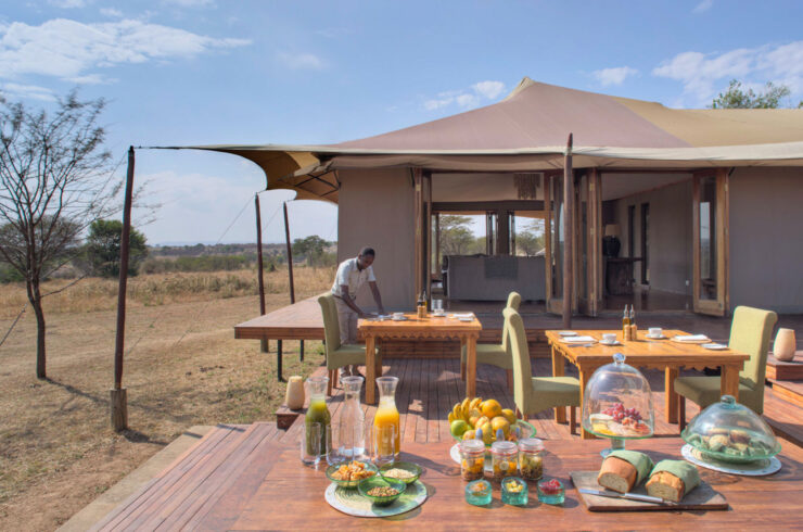 Sayari Lodge Serengeti