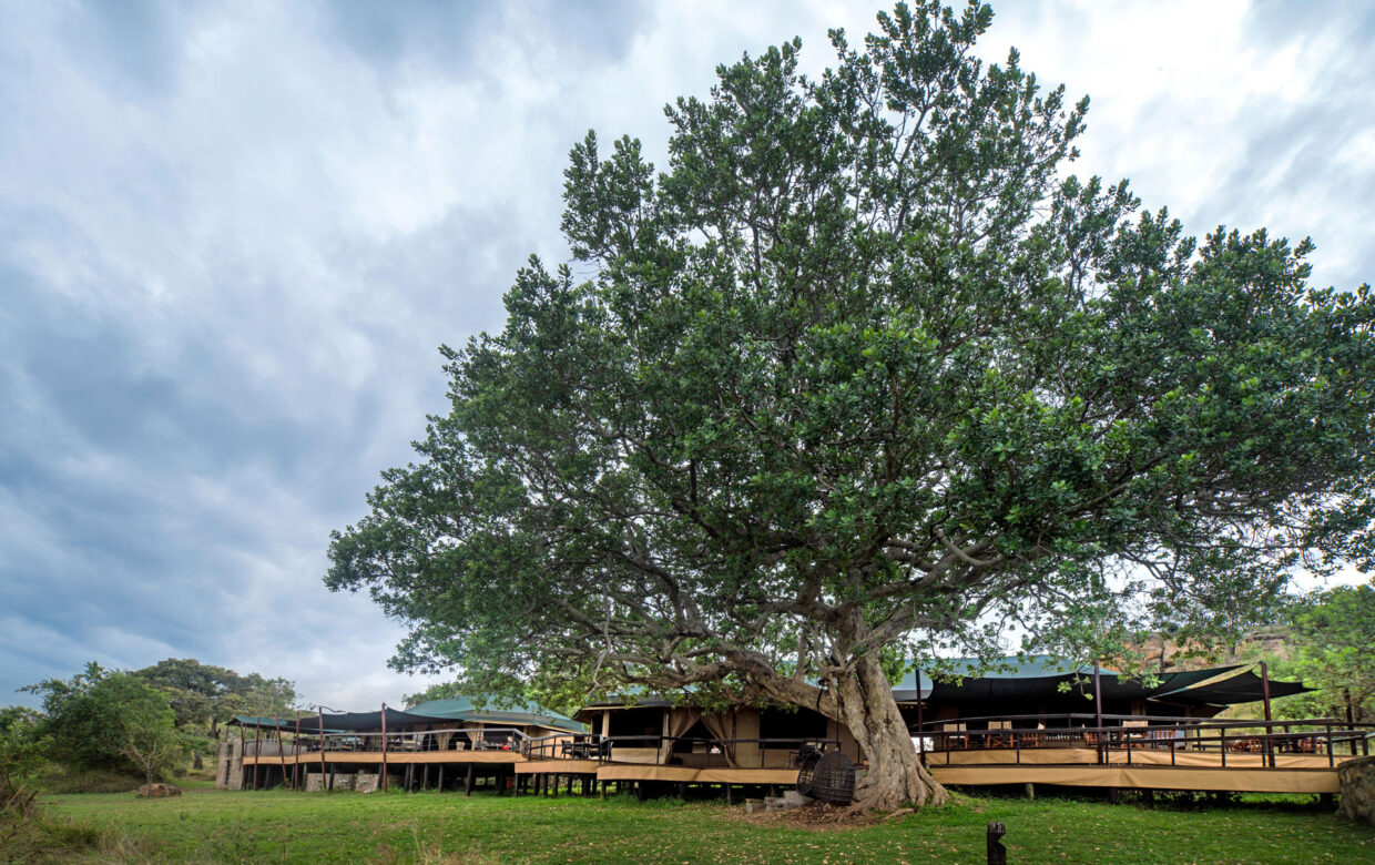 Explore Tanzania - Accommodatie Selous Game Reserve - SiwanduExplore Tanzania - Accommodatie Serengeti - Lemala Kuria Hills
