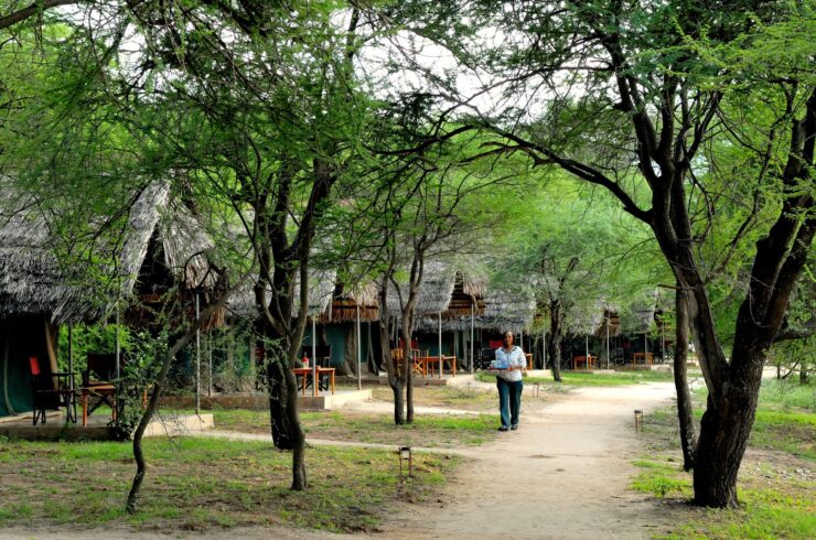Explore Tanzania - Accommodatie Tarangire - Tarangire Safari Lodge