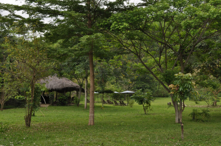 Explore Tanzania - Accommodatie Udzungwa - Hondo Hondo