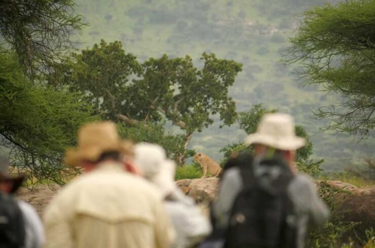 Serengeti Wandelkamp met Explore Tanzania