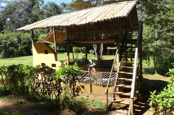 Usambara Mountains Explore Tanzania - Amani Forest Camp