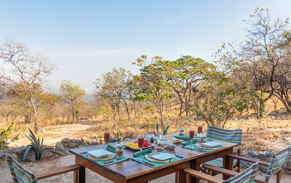 Hodi Hodi Ruaha Bush Camp