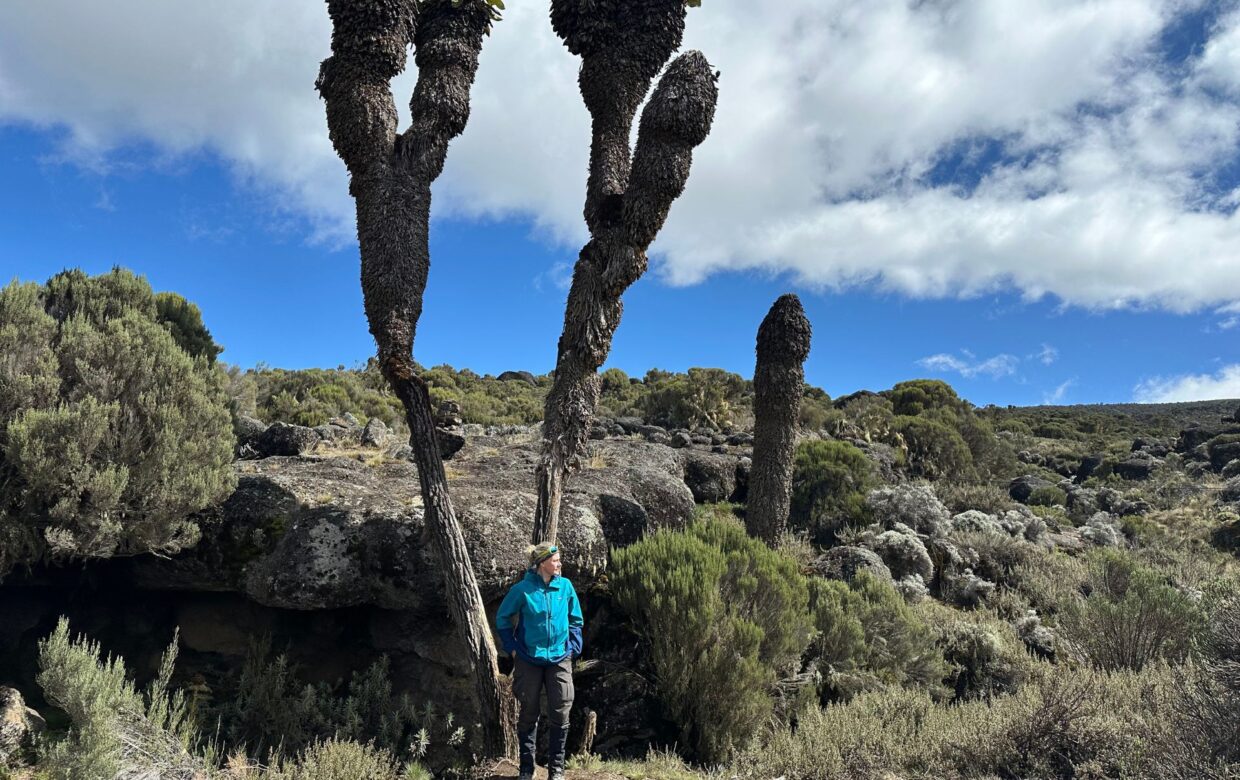 Kilimanjaro beklimmen natuur onderweg - Explore Tanzania