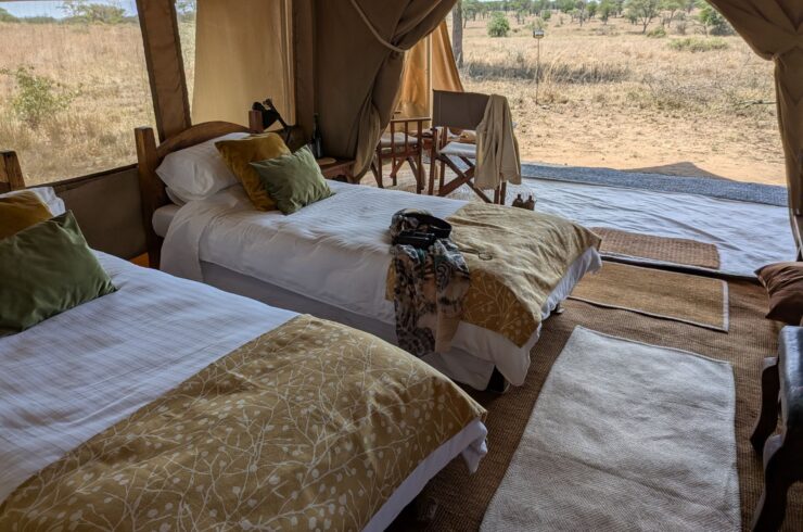 Pembezoni Camp Serengeti lodge Tanzania