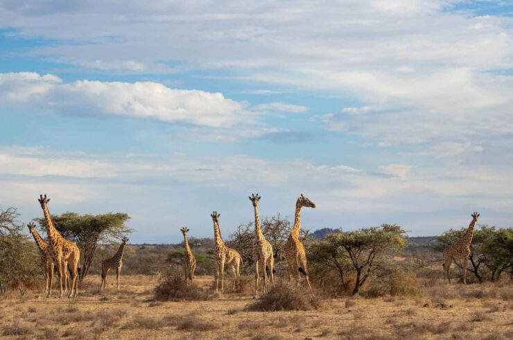 Vakantie Tanzania oktober