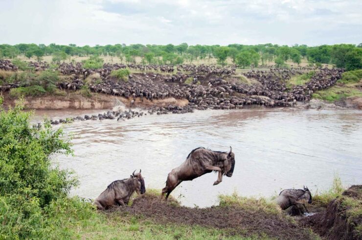 Vakantie Tanzania september