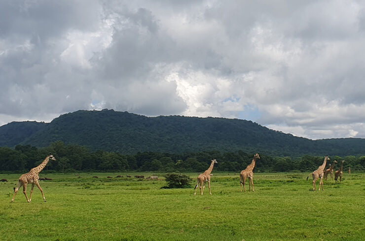 Arusha National Park