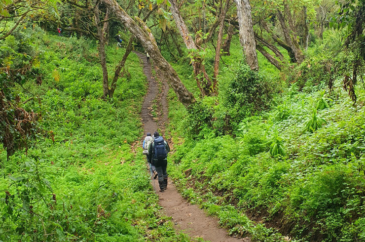 Walking day 2