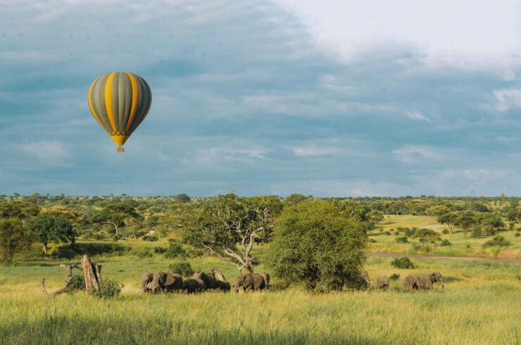 Vakantie Tanzania januari