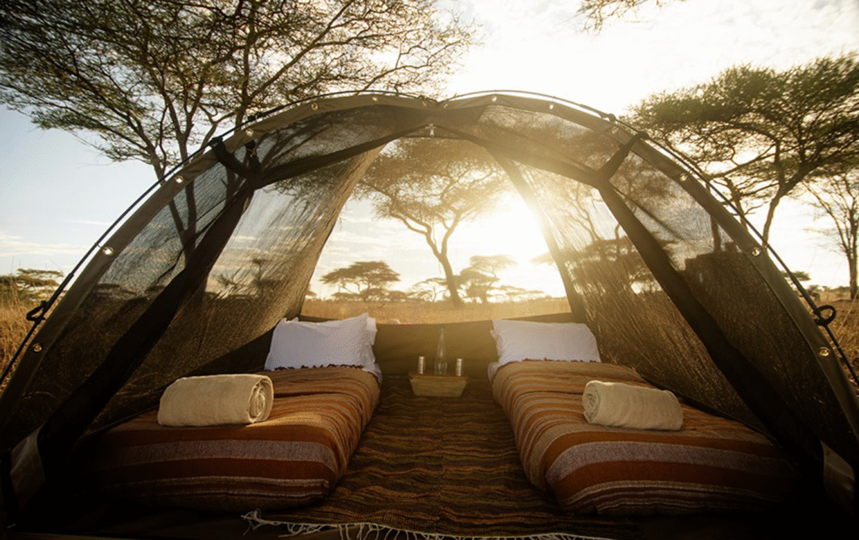 Olmara Camp