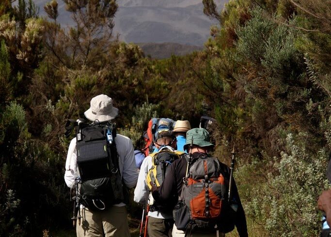Wandelen bij de Kilimanjaro