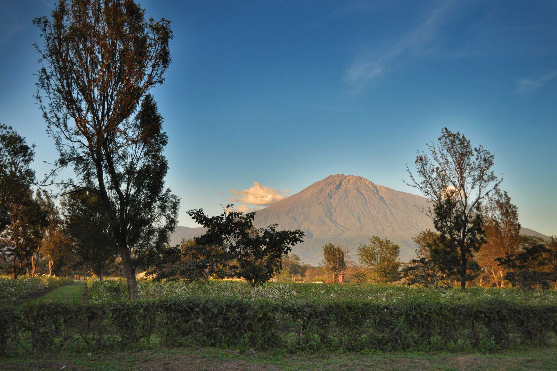 Unieke safari door Noordoost Tanzania - 16 dagen van Arusha tot Bagamoyo