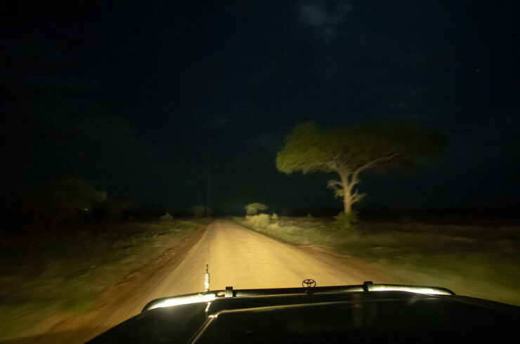 night drive