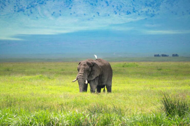 Vakantie Tanzania november