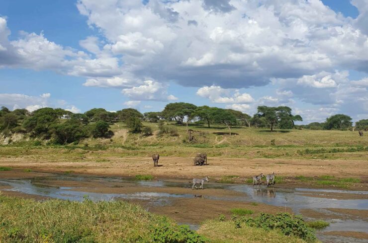 Vakantie Tanzania maart