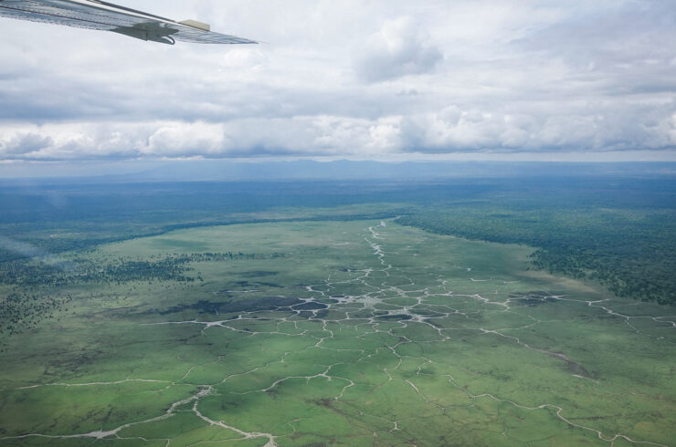 ruaha