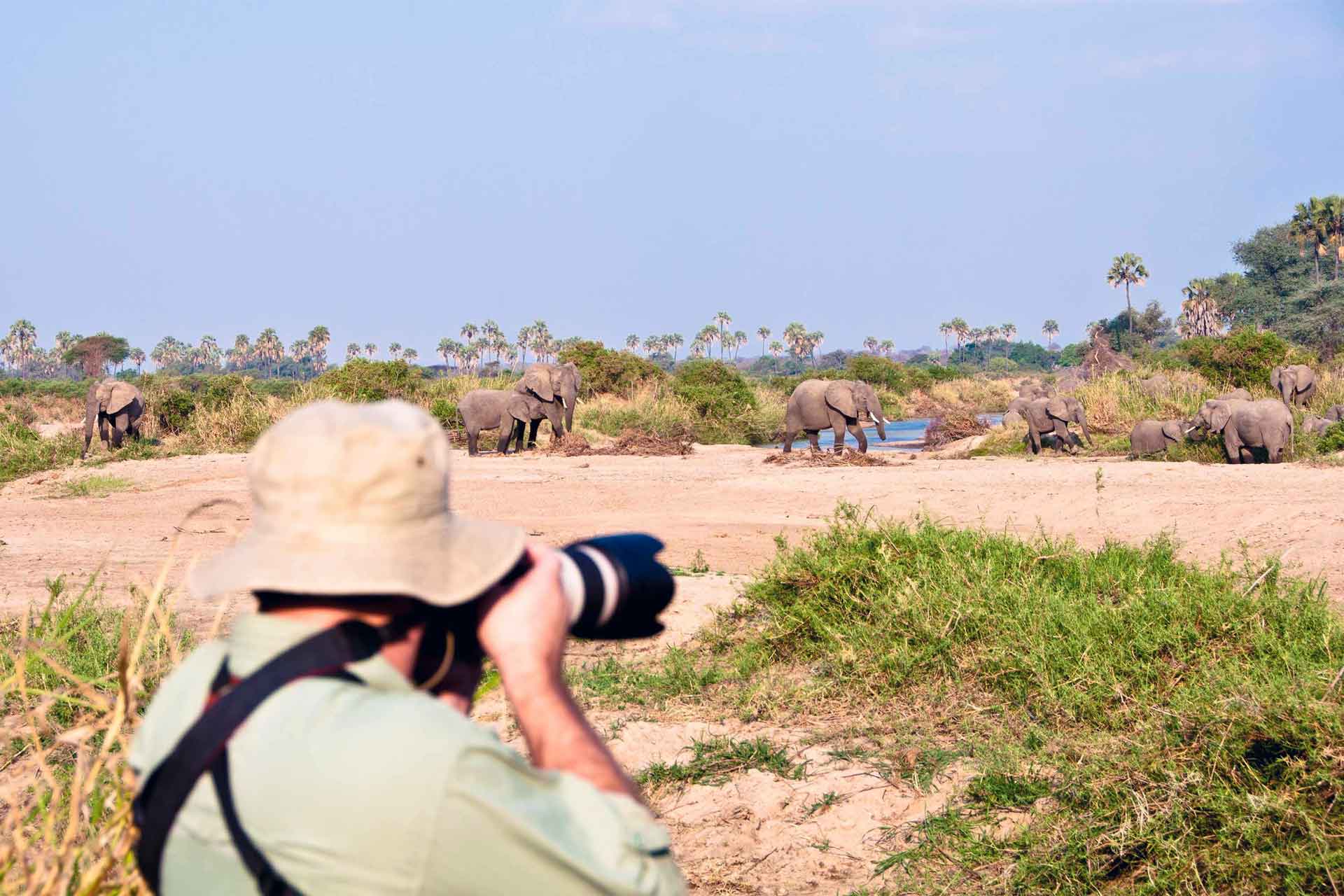 Foto Safari – Denkspiel Ab 3 Jahren Mit Tieren Produktbild-Vorschau 8