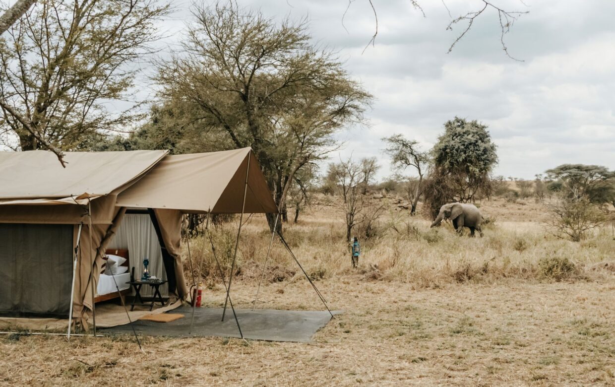 Winter safari trip Tanzania – 12 days