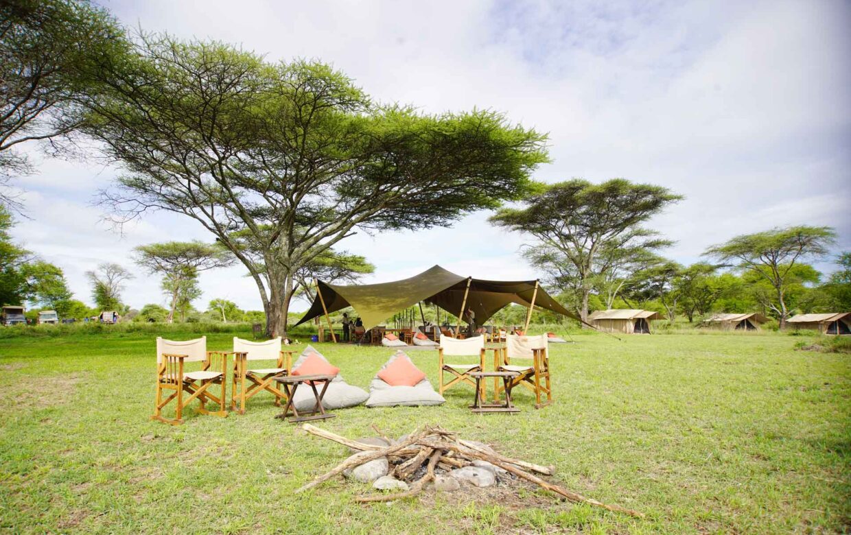 Winter safari trip Tanzania – 12 days