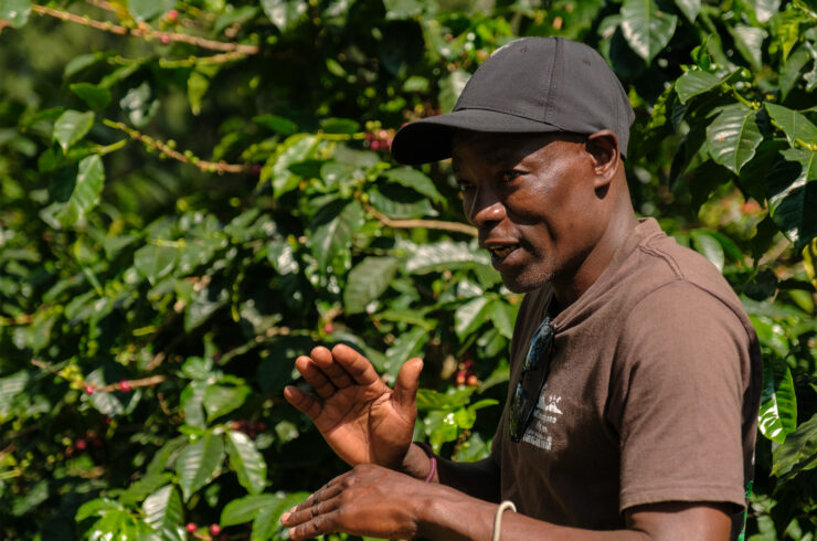 Koffietour Kilimanjaro Tanzania - Wie is de Mol 2026 locatie