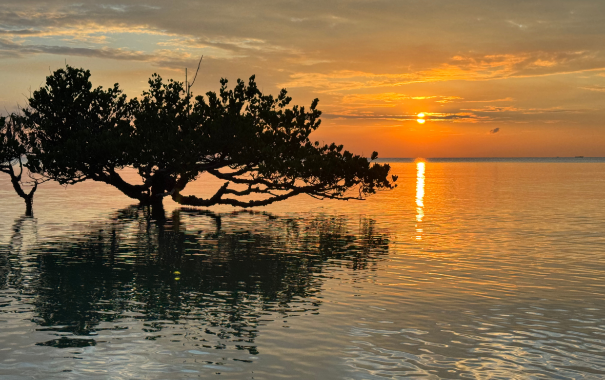 Mangrove accommodatie Zanzibar - Explore Tanzania locatie