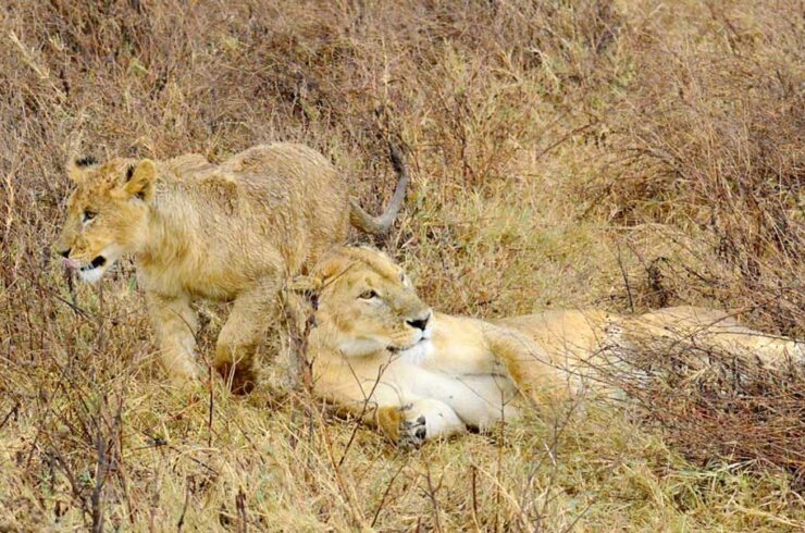Slow Travel - reisverhaal Explore Tanzania Ruth en Hans