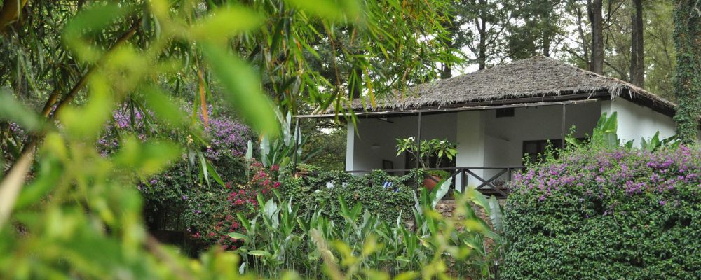 Winter safari reis Tanzania – 12 dagen