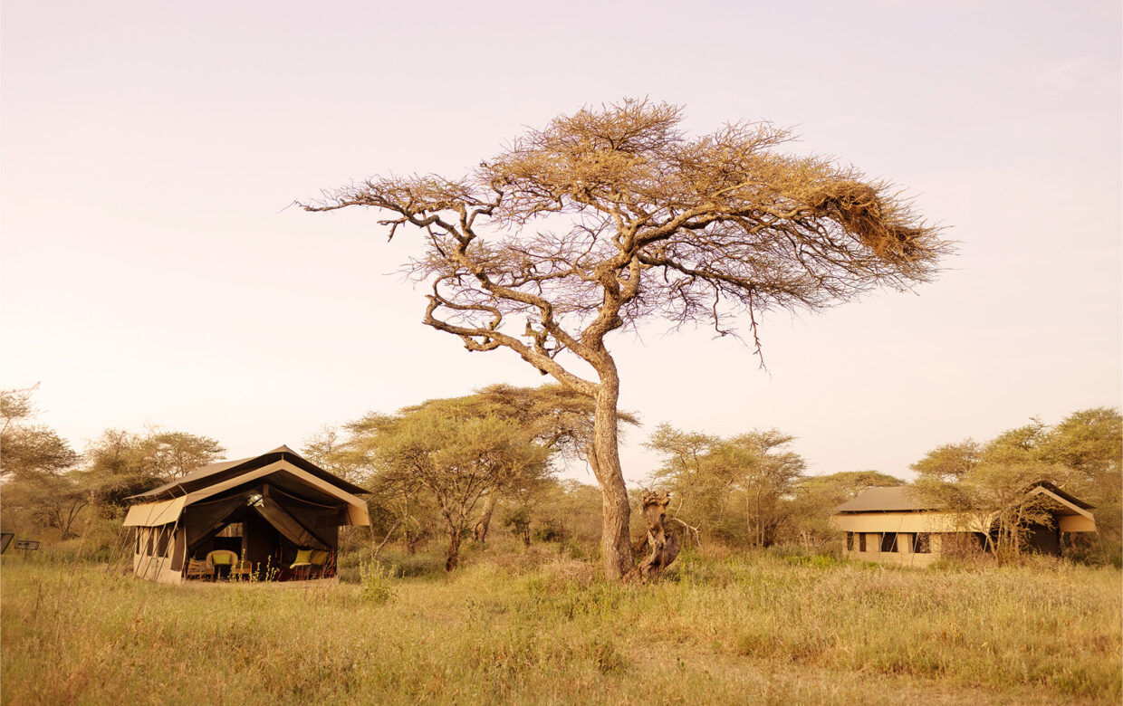 Ndutu Wilderness Camp
