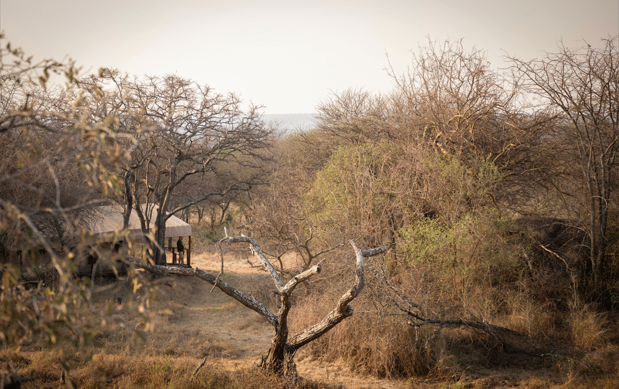 Kusini Serengeti