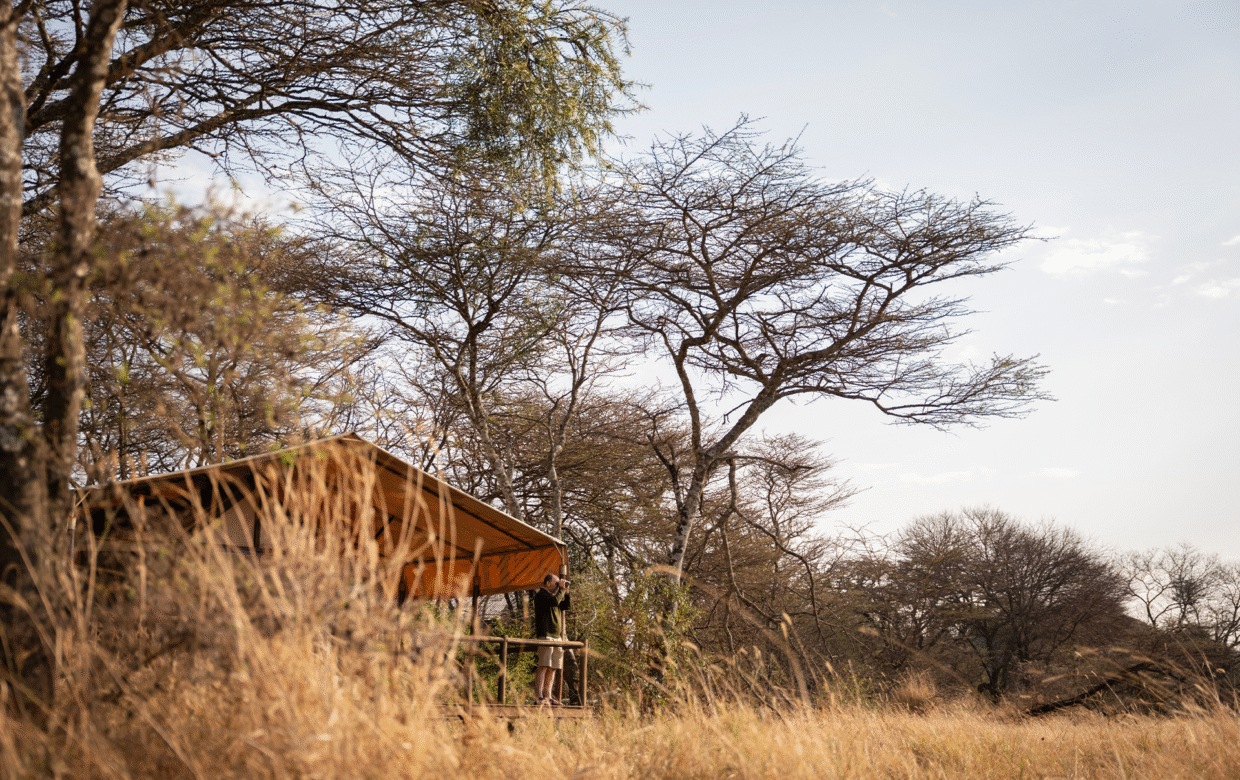 Kusini Serengeti