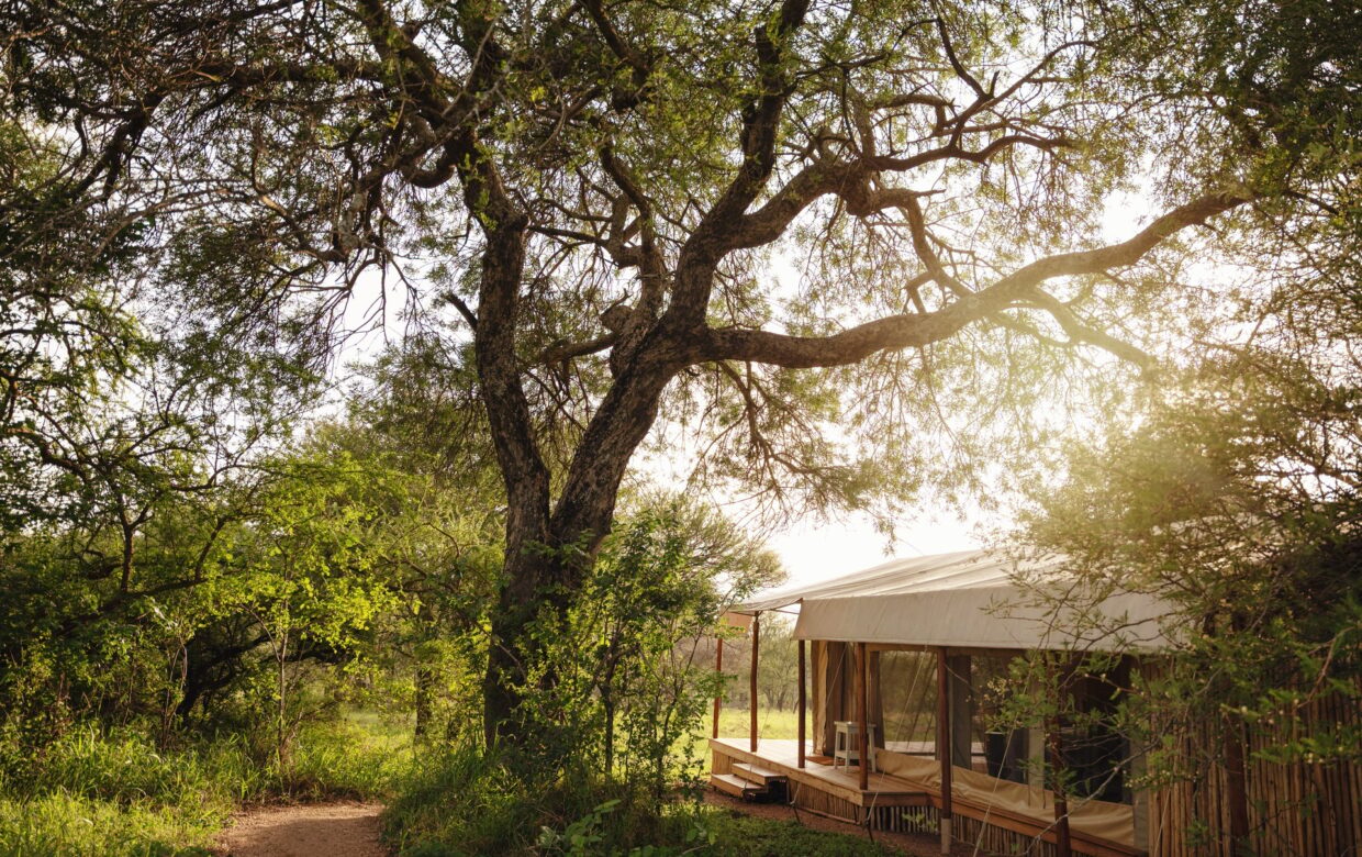 Kusini Serengeti