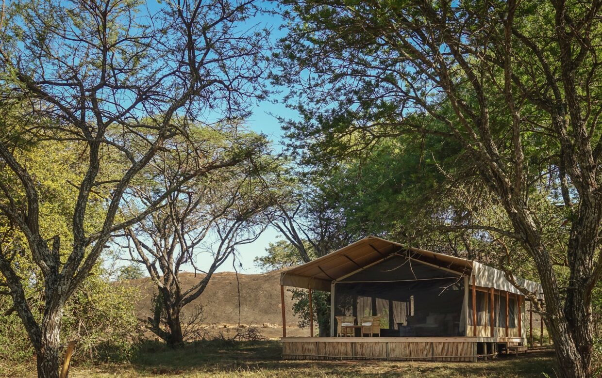 Kusini Serengeti