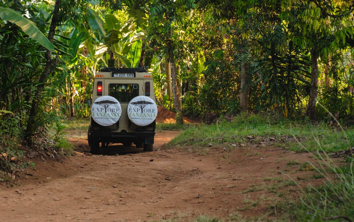 Tanzania self-drive