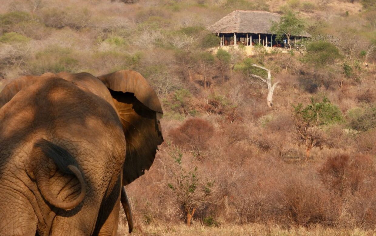 Babu’s Camp